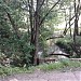 Насыпь над коллектором реки Язвенки в городе Москва