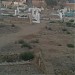 بخاری اسٹریٹ  رئیس حضوربخش