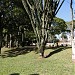 Praça Castelo Branco na Rolândia city
