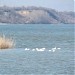 Lac de acumulare Ostrov