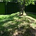 Бруствер, оставшийся от границ усадьбы Ясенево  в городе Москва