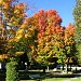 Camping Lac des Cèdres