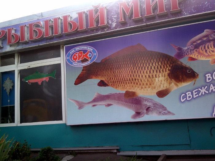 Рыболовные Магазины Богородск