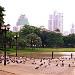 Benjasiri Park