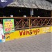 Wamongo in Cabo San Lucas city