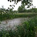 Пруд в городе Посёлок им. Цюрупы