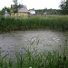 Пруд в городе Посёлок им. Цюрупы