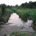 Долина безымянного левого притока реки Сетунь в городе Москва