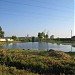 Пруд в городе Сколково
