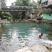 Malinao Spring (resort)