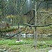 ZOO Ljubljana in Ljubljana city