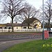 Cedar Tree in Nuneaton city