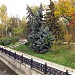 Gagarin park