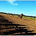 Hipódromo de Tandil