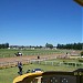 Hipódromo de Tandil