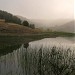 Starec-See