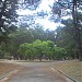 Parque Miguel Lillo