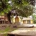 SAKOMBHORI TOLA     in Majigram city