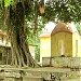 SAKOMBHORI TOLA     in Majigram city