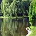 Boston Public Garden