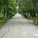 Parc Nicolae Balcescu (ro) in Rosiorii de Vede city