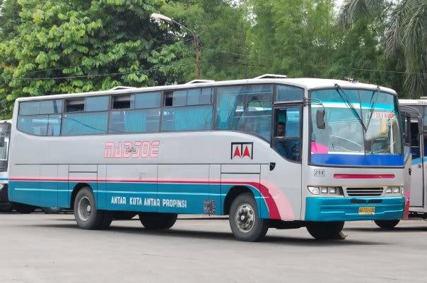 FuLL Bus PO. Cendana Madiun  Kaibon