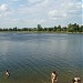Shingarsky pond