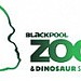 Blackpool Zoo