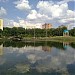 Большой пруд в городе Москва