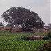 GANGA SHAYER   in Majigram city