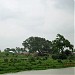GANGA SHAYER   in Majigram city
