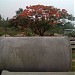 PSC POLE Factory Site in Nepal, 977 56 570354 www.triveniconcrete.com in Bharatpur city