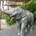 Elephants in Tokyo city