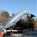 Sculpture of a leaping whale in Tokyo city