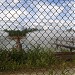 Охладители Апатитской ТЭЦ в городе Апатиты