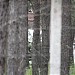 Пашня