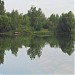 Пруд Кирпичка (озеро Балатон) в городе Серпухов