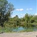 Пруд в городе Андреевка