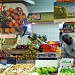 Marché Saint Germain