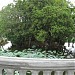 Hồ Kim Thủy  trong Thành phố Huế thành phố