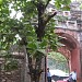 Cổng VỤ KHIÊM trong Thành phố Huế thành phố