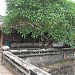 Xung Khiêm Tạ  trong Thành phố Huế thành phố