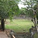 Vườn nuôi hưu  trong Thành phố Huế thành phố