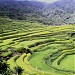 Maligcong Rice Terraces