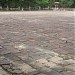 Bái Đình trong Thành phố Huế thành phố
