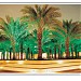 The One Hundred Palm Trees Park in Al Riyadh city