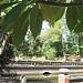 Hữu Bật trong Thành phố Huế thành phố