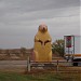 Giant Concrete Prairie Dog