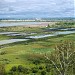 Иловые поля КОС 2 в городе Барнаул