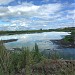 Иловые поля КОС 2 в городе Барнаул
